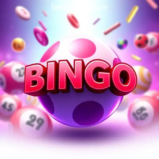 Gaming Experience CKC.BET - Melhor plataforma de jogos - 800+ Premium and Exclusive Games